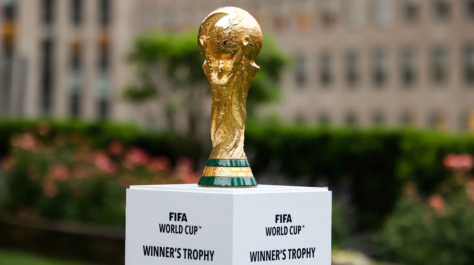 FIFA World Cup Betting Odds ZA